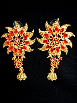 Fashion Earrings